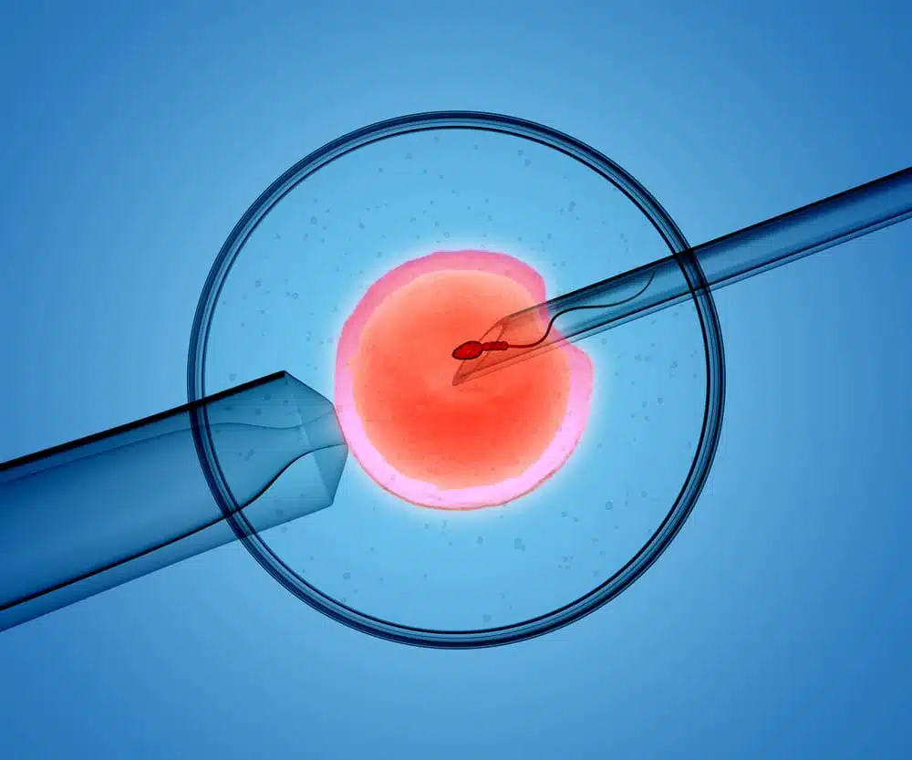 Invitro-1.webp