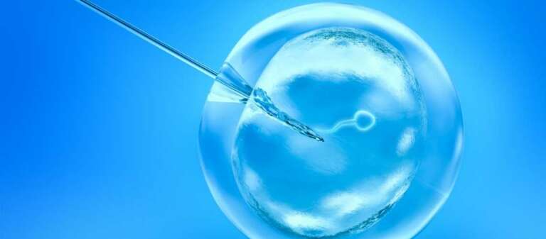 ivf-invitro-unimedturkey18.jpg